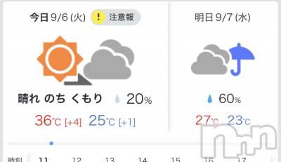 ��Į�ۥ��ȡ��ܡ������С�A151(�����������ݥ���) ��С��椦���9��6���̥�֥����ֺ����Ϥ��٤ߤǤ���