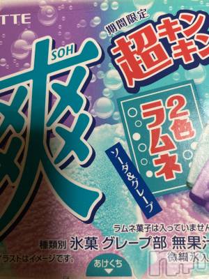 ��Į�ۥ��ȡ��ܡ������С�A151(�����������ݥ���) ��С��椦���8��2���̥�֥�����8���ȯ�ܱĶȡ���