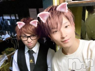 ��Į�ۥ��ȡ��ܡ������С�A151(�����������ݥ���) ��С��椦���9��11���̥�֥����ֻĽ뤬�ɤ������