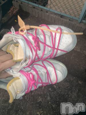 ��Į�ۥ��ȡ��ܡ������С�A151(�����������ݥ���) ��С��椦���6��25���̥�֥����������������