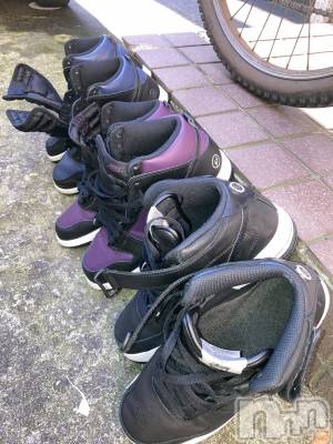 ��Į�ۥ��ȡ��ܡ������С�A151(�����������ݥ���) ��С��椦���6��29���̥�֥����ֺ����ϻ����ǡ���