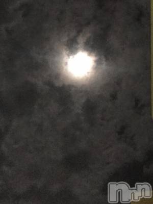 ��Į�ۥ��ȡ��ܡ������С�A151(�����������ݥ���) ��С��椦���11��15���̥�֥����֥����ѡ��ࡼ�󡪡�